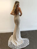 Gorgeous V-Neck Prom Party Gowns Lace Mermaid Evening Gowns HZ1024