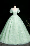 A-Line Tulle Beaded Sequin Long Prom Dress, Beautiful 3D Butterfly Evening Dress HZ1024