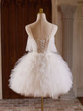 Tulle Lace Light Champagne Short Prom Dress, Cut Homecoming Dress HZ1024